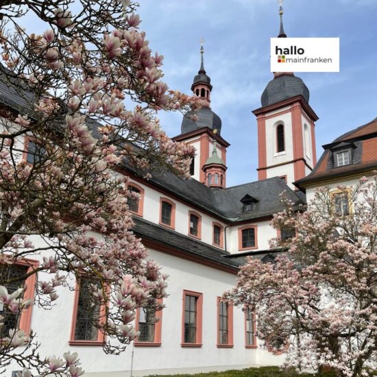 Die Geschichte des Klosters Oberzell